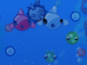 Plankton Life