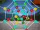 Rainbow Web Online