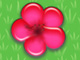 Red Flowers Red Flowers