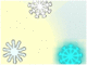 Snowflakes!
