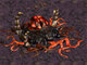 Starcraft FA 5
