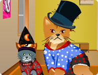 Funny Cat Makeover - Jogue Funny Cat Makeover Jogo Online