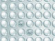 X-treme Bubble Wrap 1